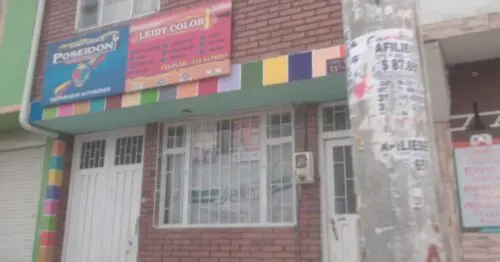 LEIDY COLOR LEIDY COLOR